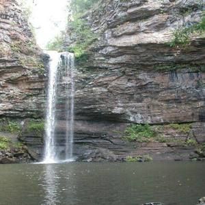 Meet your Posher, Sandy